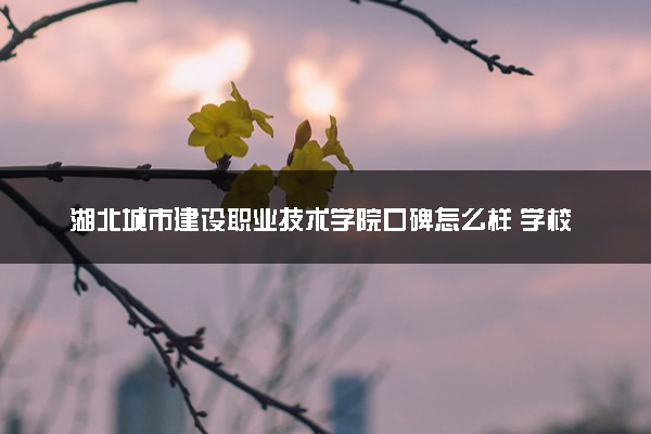 湖北城市建设职业技术学院口碑怎么样 学校好不好