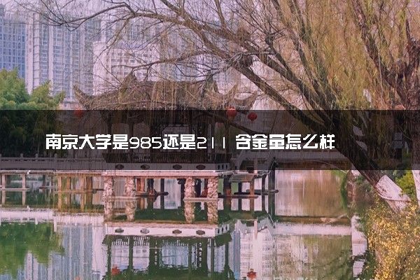 南京大学是985还是211 含金量怎么样