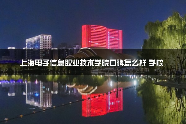 上海电子信息职业技术学院口碑怎么样 学校好不好