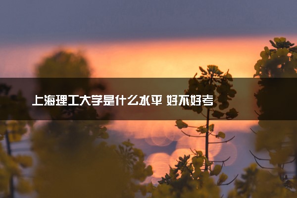 上海理工大学是什么水平 好不好考
