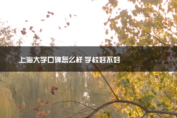 上海大学口碑怎么样 学校好不好