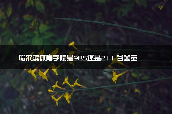 哈尔滨体育学院是985还是211 含金量怎么样