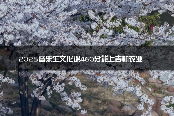 2025音乐生文化课460分能上吉林农业科技学院吗