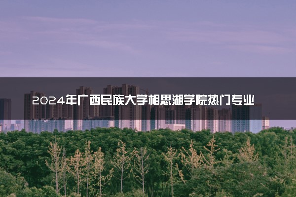 2024年广西民族大学相思湖学院热门专业全国排名 有