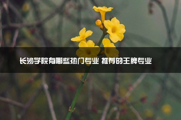 长沙学院有哪些热门专业 推荐的王牌专业