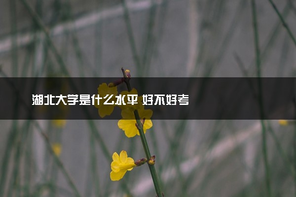 湖北大学是什么水平 好不好考