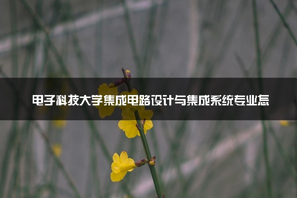 电子科技大学集成电路设计与集成系统专业怎么样 录取分数线多少