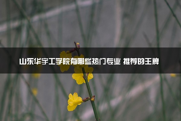 山东华宇工学院有哪些热门专业 推荐的王牌专业