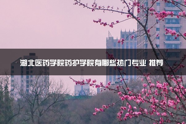 湖北医药学院药护学院有哪些热门专业 推荐的王牌专业
