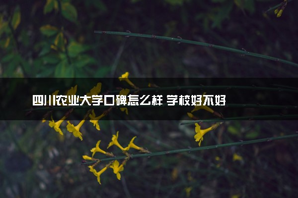 四川农业大学口碑怎么样 学校好不好