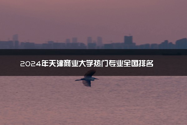 2024年天津商业大学热门专业全国排名 有