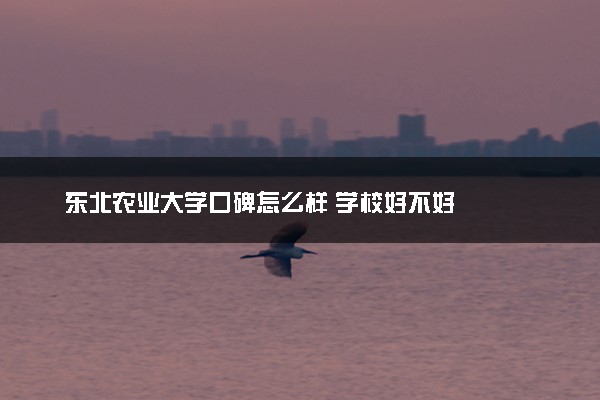 东北农业大学口碑怎么样 学校好不好