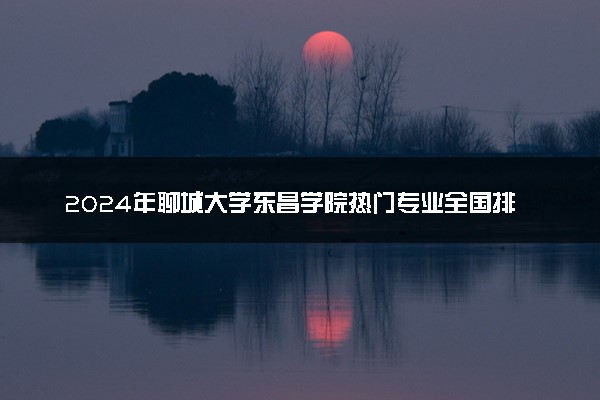 2024年聊城大学东昌学院热门专业全国排名 有