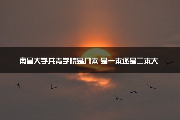 南昌大学共青学院是几本 是一本还是二本大学