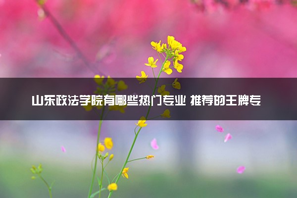山东政法学院有哪些热门专业 推荐的王牌专业