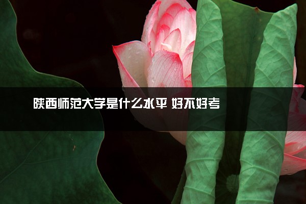 陕西师范大学是什么水平 好不好考