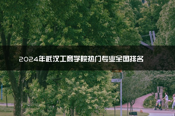 2024年武汉工商学院热门专业全国排名 有