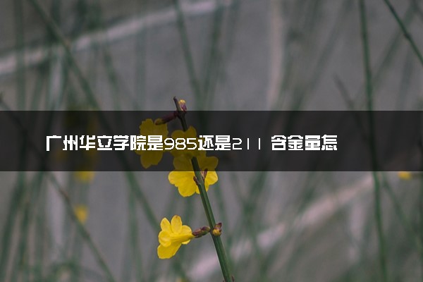 广州华立学院是985还是211 含金量怎么样