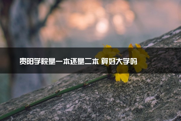贵阳学院是一本还是二本 算好大学吗