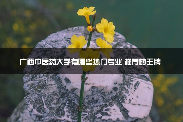 广西中医药大学有哪些热门专业 推荐的王牌专业