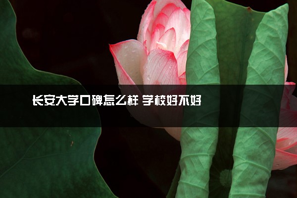 长安大学口碑怎么样 学校好不好