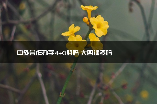中外合作办学4+0好吗 大四课多吗