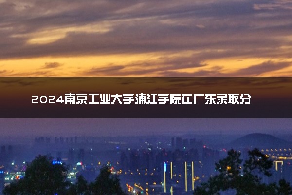 2024南京工业大学浦江学院在广东录取分数线 各专业分数及位次