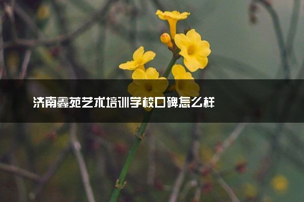 济南鑫苑艺术培训学校口碑怎么样