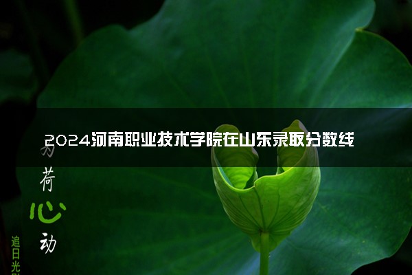 2024河南职业技术学院在山东录取分数线 各专业分数及位次