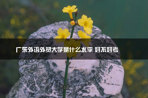 广东外语外贸大学是什么水平 好不好考
