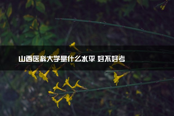山西医科大学是什么水平 好不好考