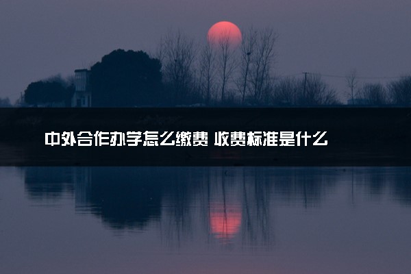 中外合作办学怎么缴费 收费标准是什么