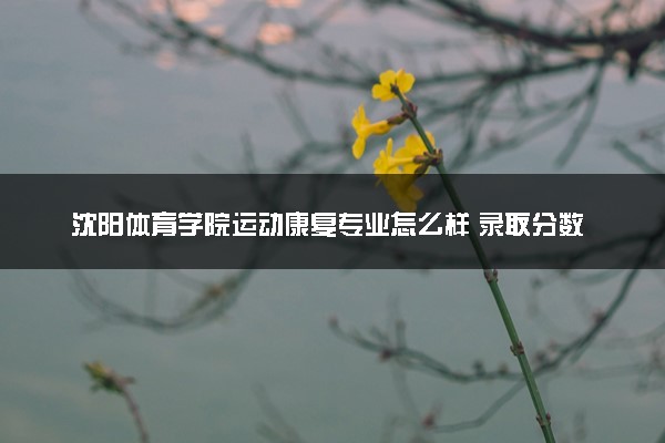 沈阳体育学院运动康复专业怎么样 录取分数线多少