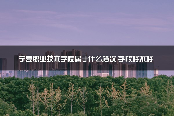 宁夏职业技术学院属于什么档次 学校好不好
