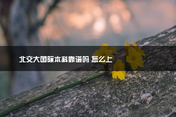 北交大国际本科靠谱吗 怎么上