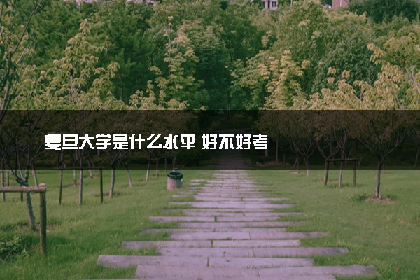 复旦大学是什么水平 好不好考