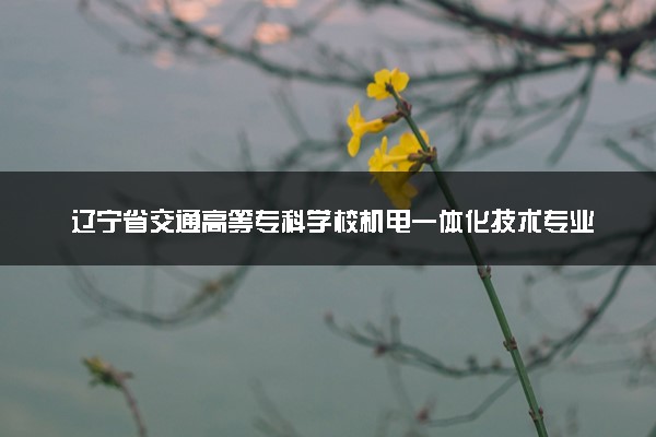 辽宁省交通高等专科学校机电一体化技术专业怎么样 录取分数线多少