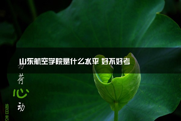 山东航空学院是什么水平 好不好考