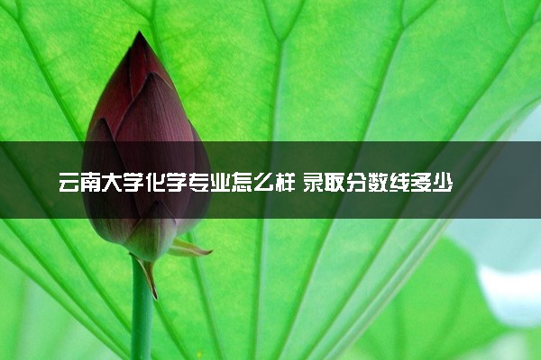 云南大学化学专业怎么样 录取分数线多少