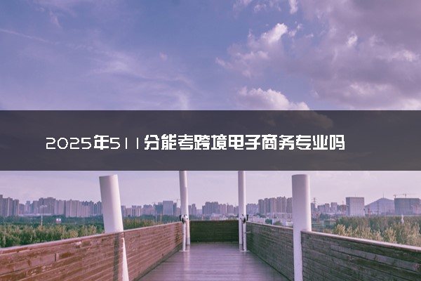2025年511分能考跨境电子商务专业吗 511分跨境电子商务专业大学推荐