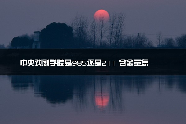 中央戏剧学院是985还是211 含金量怎么样