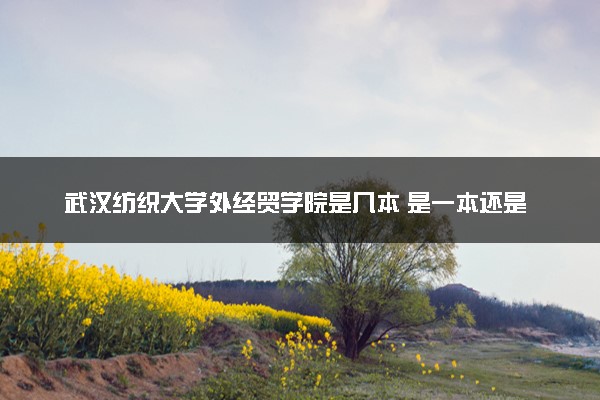 武汉纺织大学外经贸学院是几本 是一本还是二本大学