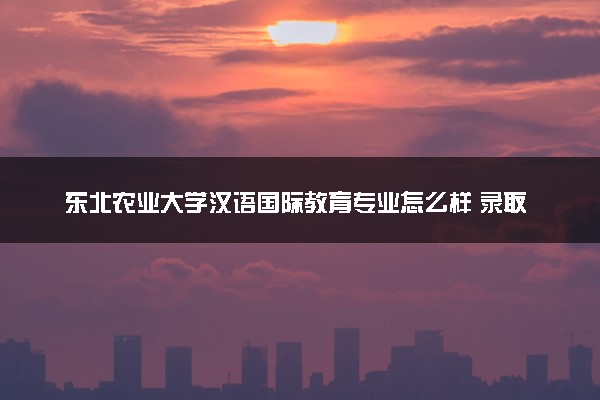 东北农业大学汉语国际教育专业怎么样 录取分数线多少