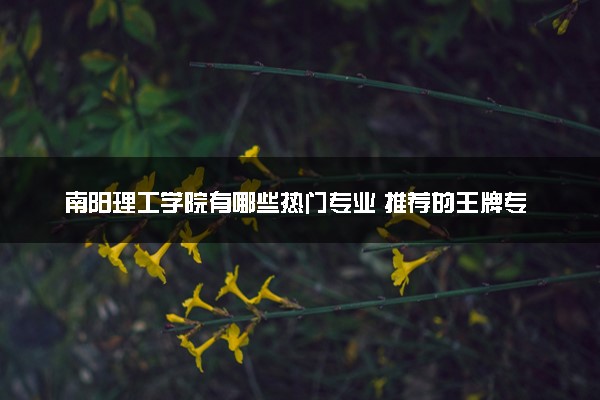 南阳理工学院有哪些热门专业 推荐的王牌专业