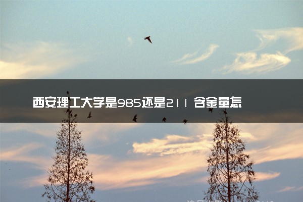 西安理工大学是985还是211 含金量怎么样