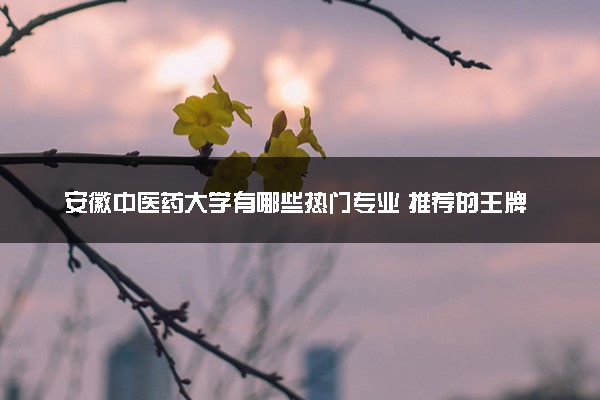 安徽中医药大学有哪些热门专业 推荐的王牌专业
