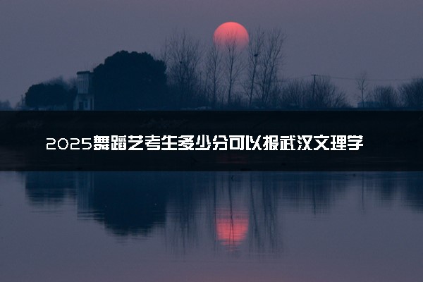 2025舞蹈艺考生多少分可以报武汉文理学院