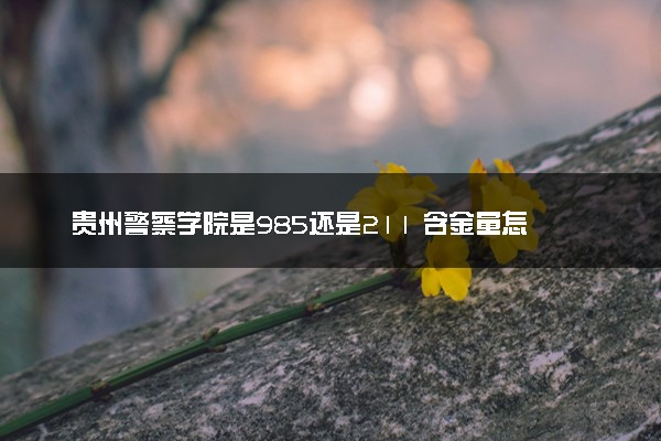 贵州警察学院是985还是211 含金量怎么样