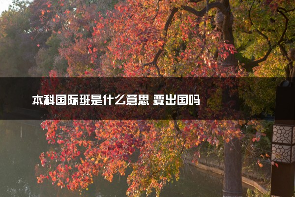本科国际班是什么意思 要出国吗