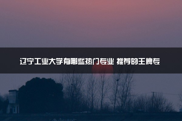 辽宁工业大学有哪些热门专业 推荐的王牌专业